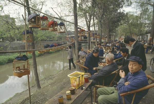 CHINA, Sichuan, Chengdu, Songbirds hanging in cages at a tea house.