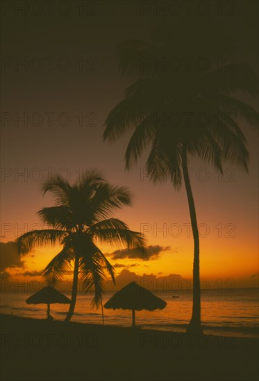 WEST INDIES, Tobago, Turtle Beach, Sunset at sea through coconut palm trees with thatched shelters on the beach