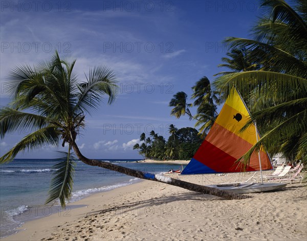 BARBADOS, St Peter, "Gibbs Beach, sunfish boat on beach, colourful sail, palm leaning "