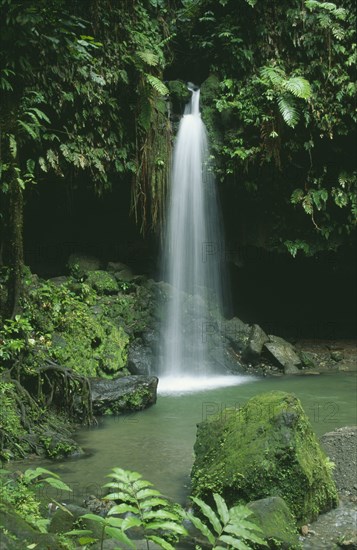 WEST INDIES, St Lucia, Trois Pitons National Park, The Emerald Pool waterfall entering rainforest surrounded pool