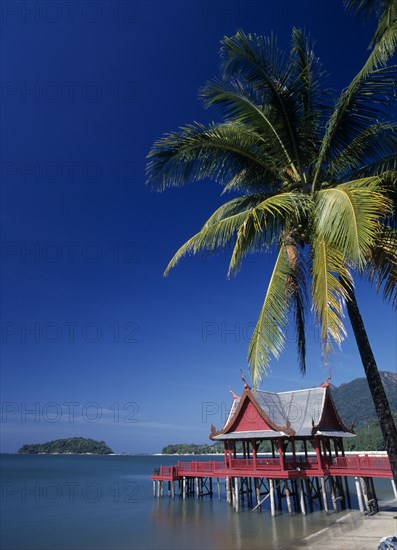 MALAYSIA, Kedah, Langkawi, Pantai Kok beach at The Summer Palace with a coconut palm tree hanging out over the water