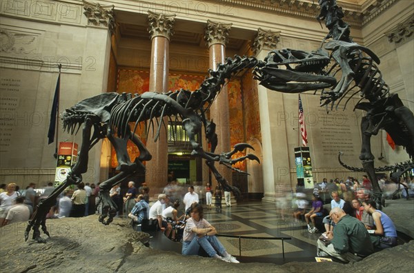 USA, New York , New York City, Natural History Museum. Dinosaur skeleton exhibits in the Main Hall with visitors
