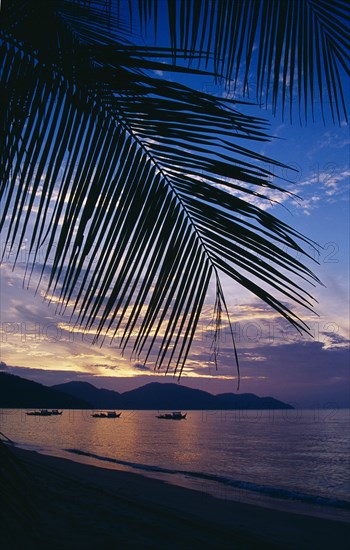 MALAYSIA, Penang, Batu Ferringhi, Beach framed by palm fronds silhouetted at sunset with streaked orange sky and purple cloud reflected in sea.