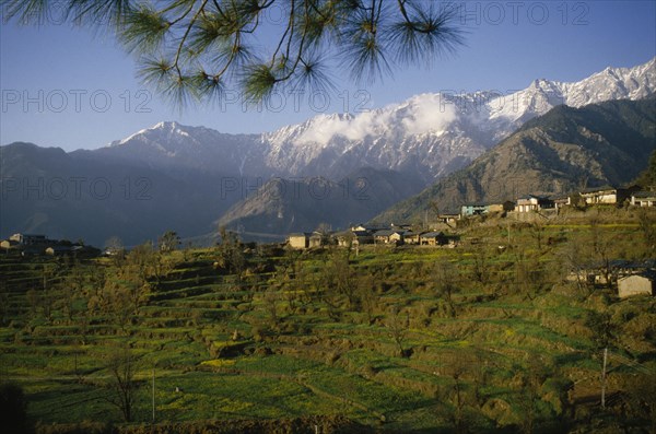 INDIA, Himachal Pradesh, Dharamsala, View of town overlooking terraces backed by snow capped mountains