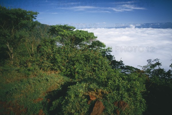 TANZANIA, Ngorongoro Crater, View over crater filled by massed cloud.