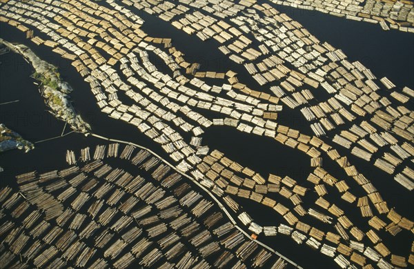 FINLAND, Lake Saimaa, Large expanse of cut timber from logging industry floating on lake surface.