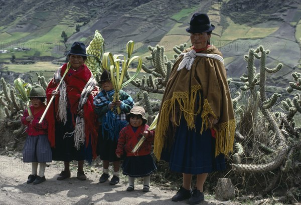 ECUADOR, Cotopaxi, Zumbahua, Family on roadside returning home from Palm Sunday Mass holding woven and shaped palm fronds with line of cacti and patchwork fields on hillside behind.