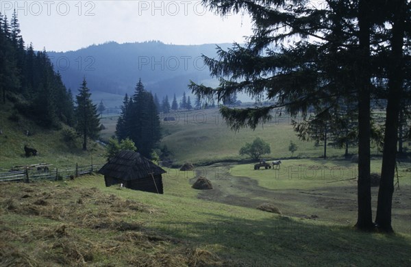 ROMANIA, Transylvania, Carpathian Mountains.