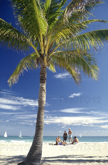 USA, Florida, Fort Lauderdale, Palm on the golden sandy beach with bathers on the sand and sail boats out at sea