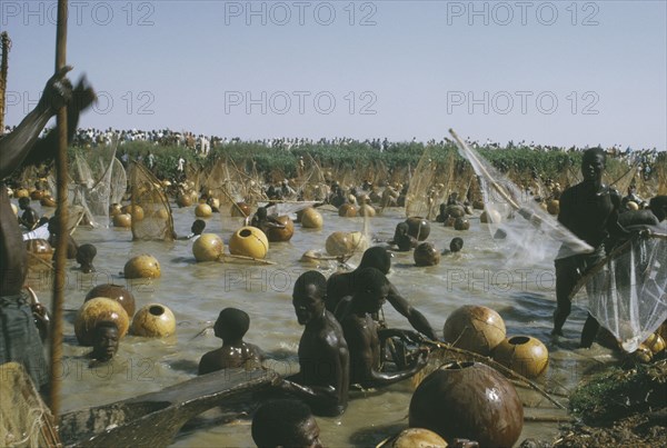 NIGERIA, North, Argungu, View over mass of men with nets in the muddy water for the Fishing Festival