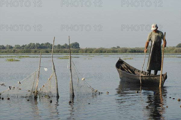 ROMANIA, Tulcea, Danube Delta Biosphere Reserve, Professional fisherman in canoe on Lake Isac checking his nets