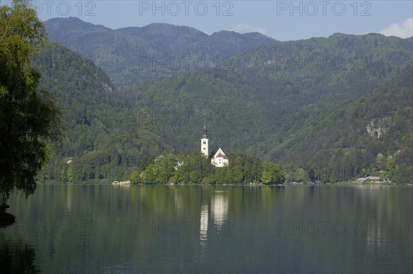 SLOVENIA, Lake Bled, View over the lake toward Bled Island and tower of the Church of the Assumption