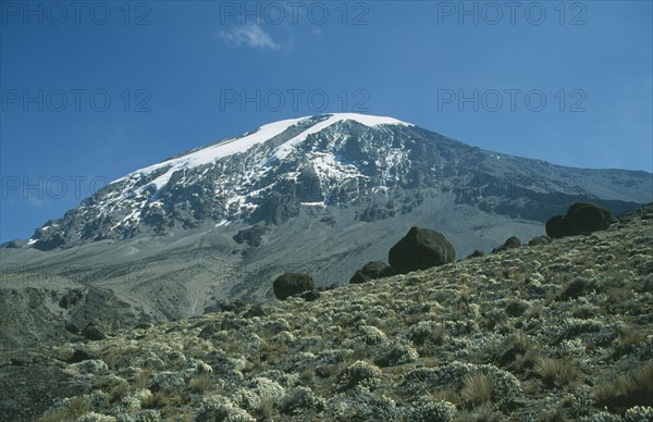 TANZANIA, Mount Kilimanjaro, Snow covered peak of Kilimanjaro with alpine desert plants in the foreground.