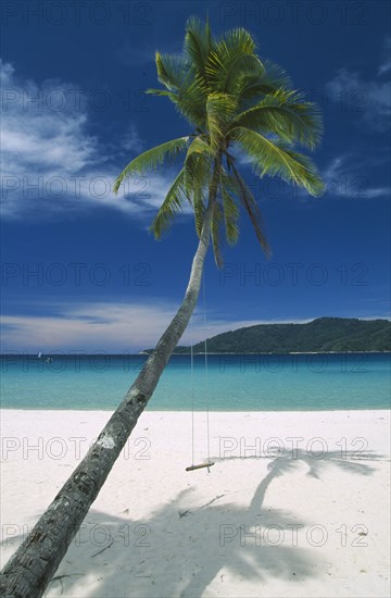 MALAYSIA, Terengganu, Perhentian Kecil, Palm tree with swing on Long Beach on the smaller of the two Perhentian Islands.
