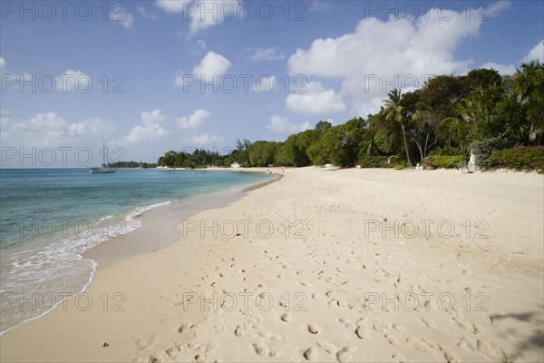 WEST INDIES, Barbados, St Peter, Gibbes Bay beach