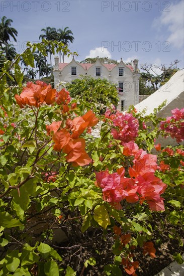 WEST INDIES, Barbados, St Peter, The Jacobean plantation house and garden of St Nicholas Abbey