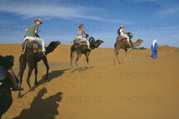 MOROCCO, Sahara, Merzouga, Guide leading tourist camel train through desert landscape.