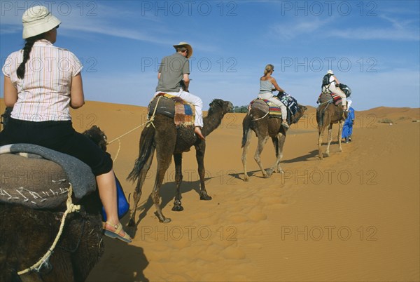 MOROCCO, Sahara, Merzouga, Guide leading tourist camel train through desert landscape.