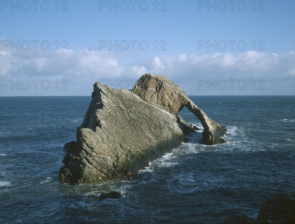 SCOTLAND, Moray, Scar Nose, Bowfiddle Rock.  Natural rock arch and seabirds on the north coast east of the village of Portknockie.