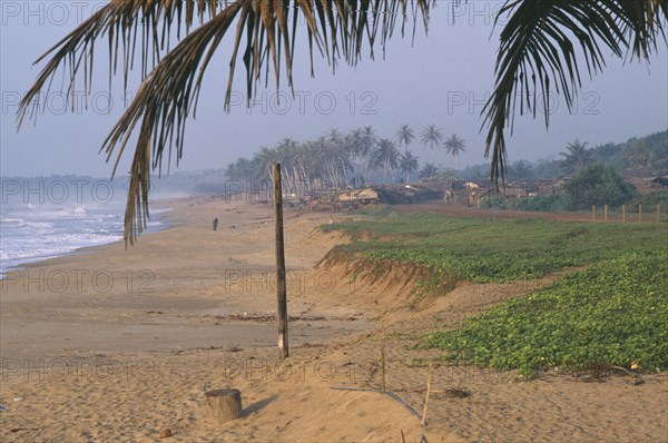 IVORY COAST, San Pédro, The beach and distant buildings part framed by palm fronds.