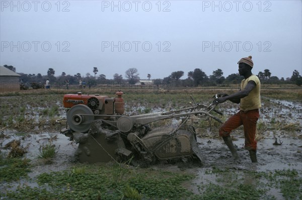 GAMBIA, Agriculture, Man working with Rotavator. Sapu rice scheme.