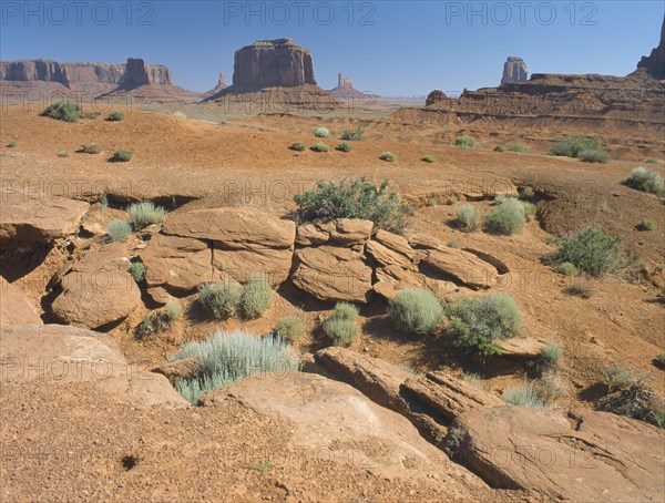USA, Arizona, Monument Valley, Rock formations from John Ford Point seen in morning light with plants in the foreground