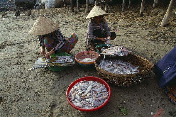 VIETNAM, Nha Trang, Woman cleaning squid at the Cau Dau fishing village at the South end of the beach.