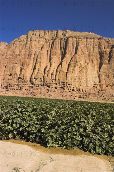 AFGHANISTAN, Bamiyan Province, Bamiyan , Caves in cliffs near empty niche where the famous carved small Budda once stood 180 foot high before being destroyed by the Taliban in 2001