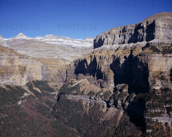 SPAIN, Aragon, Valle de Ordesa, "Circo de Cotatuero.  Sheer, eroded cliff showing grey, cream and brown coloured rock strata and steep, tree covered gully with cliffs of Muralla della Fraucata on right."