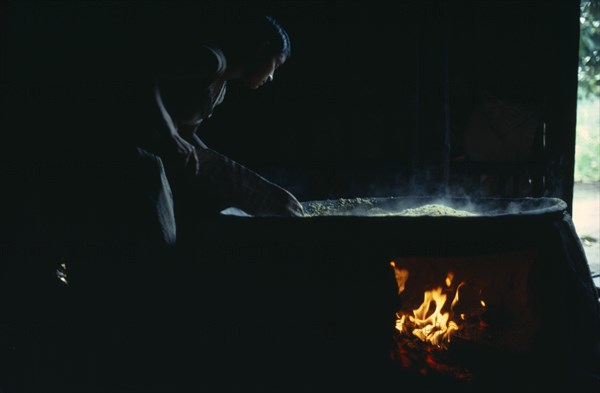 COLOMBIA, North West Amazon, Tukano Indigenous People, "Barasana woman making casabe bread from peeled and grated manioc cooked on large circular shallow clay oven over wood fire enclosed by clay  oven wall. The casabe ""bread"" must be continually turned and can only be carried out at the women's end of maloca  Tukano sedentary Indian tribe North Western Amazonia cassava American Colombian Columbia Female Women Girl Lady Hispanic Indegent Latin America Latino South America Tukano Female Woman Girl Lady One individual Solo Lone Solitary "
