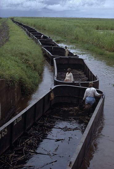 GUYANA, Industry, Sugar cane barges travelling along canal through plantation. Sugar is Guyana’s main agricultural crop