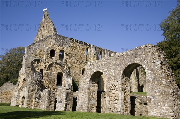 Battle, East Sussex, England. Ruins of abbey crypt . England English UK United Kingdom GB Great Britain British East Sussex County Battle Town Abbey Ruin Ruins Crypt Stone Historic Historical Architecture 1066 Hastings Blue British Isles Destination Destinations European Great Britain History Historic Northern Europe Religion Religious United Kingdom