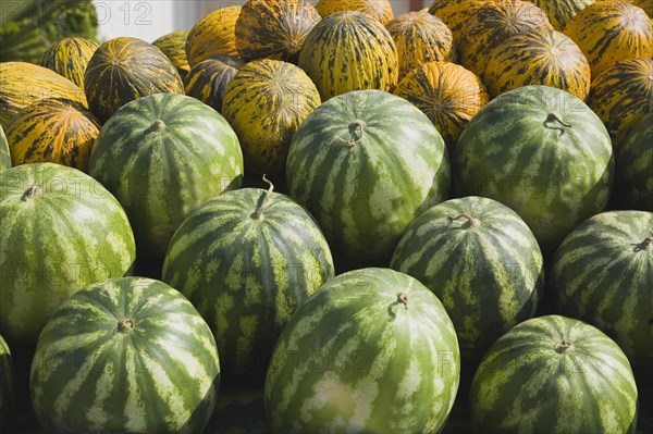 Kusadasi, Aydin Province, Turkey. Fresh green and yellow striped melons delivered to the head chef at Hotel Ladies Beach. Turkey Turkish Europe European Asia Asian East West Urban Destination Travel Tourism Kusadasi Aydin Province Fruit Melon Melons Display Color Destination Destinations Middle East Sand Sandy Beaches Tourism Seaside Shore Tourist Tourists Vacation South Eastern Europe Turkiye Western Asia