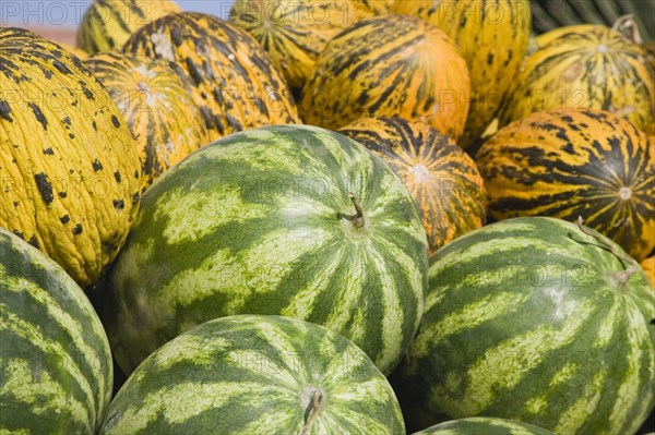 Kusadasi, Aydin Province, Turkey. Fresh green and yellow striped melons delivered to the head chef at Hotel Ladies Beach. Turkey Turkish Europe European Asia Asian East West Urban Destination Travel Tourism Kusadasi Aydin Province Fruit Melon Melons Display Color Destination Destinations Middle East Sand Sandy Beaches Tourism Seaside Shore Tourist Tourists Vacation South Eastern Europe Turkiye Western Asia