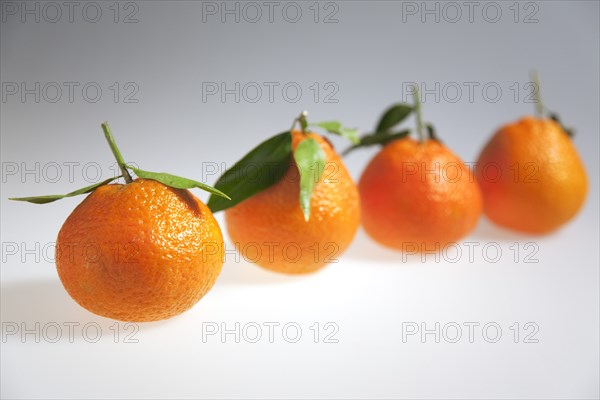 Food, Fruit, Orange, Four fresh Clementine oranges.