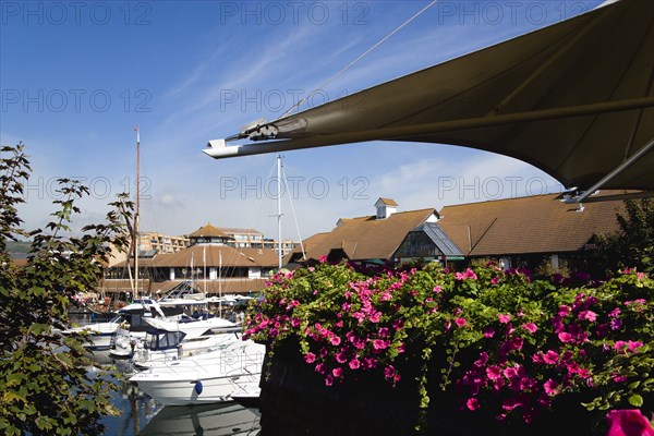 Port Solent Boats moored in the marina with people sitting at restaurant tables beyond beside a pub and housing apartments. Photo : Paul Seheult