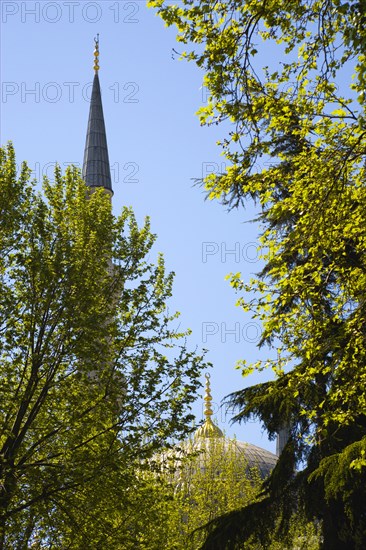 Turkey, Istanbul, Sultanahmet Camii The Blue Mosque dome and minaret seen through trees in the gardens. 
Photo : Paul Seheult