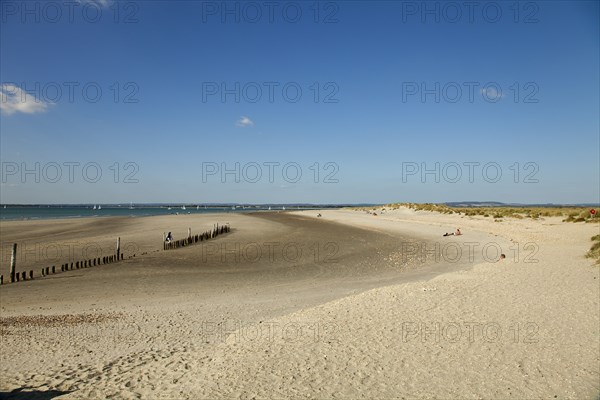 East Head Sandy beach and wooden groynes at low tide.