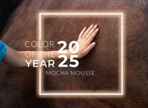 Couleur Pantone 2025